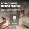 Вид 6